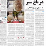 صفحه۰۱-۲۱ اردیبهشت ۱۴۰۱