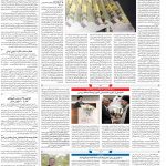 صفحه ۰۳- ۱۷ اسفند  ۱۳۹۹