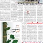 صفحه۰۵- ۱۹مرداد۱۴۰۱