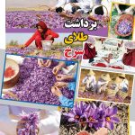 صفحه ۰۵- ۲۳مهر ۱۴۰۱