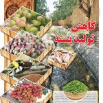 صفحه ۰۵- ۲۵مهر ۱۴۰۱