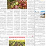 صفحه06-27بهمن 1403