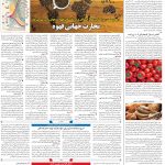 صفحه۰۶-۱۱ آذر ۱۴۰۲