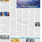 صفحه۰۹-۱۲مهر۱۴۰۱