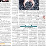 صفحه۰۹-۱۹اردیبهشت ۱۴۰۲