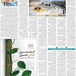 صفحه۰۹-۲۷اردیبهشت ۱۴۰۲