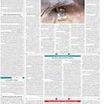 صفحه۰۹-۱۷خرداد ۱۴۰۲