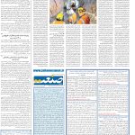 صفحه۰۹-۱۳ دی ۱۴۰۲