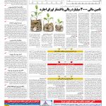 صفحه ۱۱ – ۰۹ بهمن ۱۳۹۶