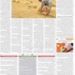 صفحه۱۲_۱۱ دی۱۴۰۲