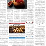 صفحه12-23بهمن1403