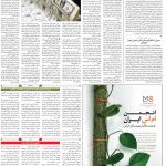 صفحه۱۲-۲۰مرداد ۱۴۰۰