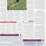 صفحه ۱۲- ۶ خرداد  ۱۳۹۹