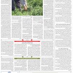 صفحه۱۲-۱۸ دی ۱۴۰۰