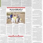 صفحه۱۲-۱۴ بهمن ۱۴۰۰