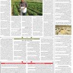 صفحه۱۲-۱۹ مرداد ۱۴۰۱