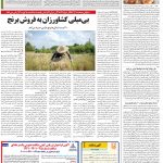 صفحه۱۲-۱۵ شهریور ۱۴۰۱
