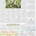 صفحه۱۲-۰۷آبان۱۴۰۱