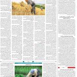 صفحه۱۲-۱۷فروردین۱۴۰۲