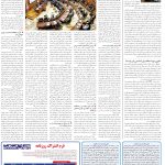 صفحه14-16اردیبهشت1404