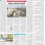 صفحه۱۴-۰۶ مرداد ۱۴۰۱