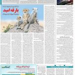 صفحه۱۴-۲۲ مرداد ۱۴۰۱
