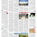 صفحه ۱۶  – ۰۴ اردیبهشت ۱۳۹۹