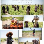 صفحه۰۳-۱۹ اردیبهشت ۱۴۰۱