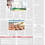 صفحه۱۲-۲۶ شهریور۱۴۰۲