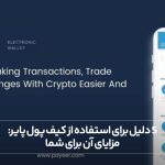 5 دلیل برای استفاده از کیف پول پایر مزایای آن برای شما
