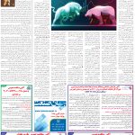 صفحه11-13 اردیبهشت 1404